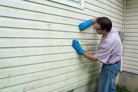 Best Insulated Siding Installation  in Spring Valley, AZ